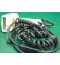 Barcode Scanner